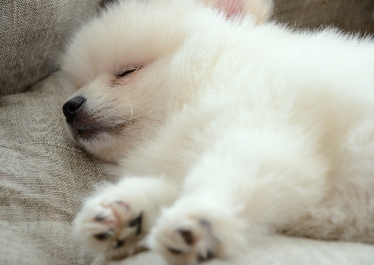 unnamed 2025 11 13T120302.837