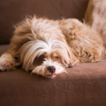 unnamed 2025 11 18T132517.351