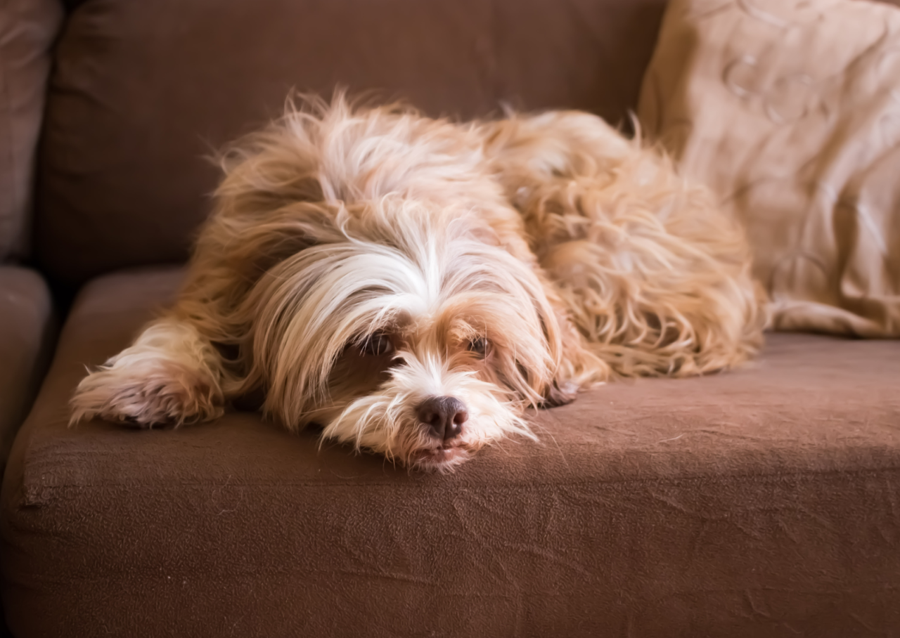 unnamed 2025 11 18T132517.351