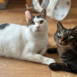 unnamed 2026 01 09T105801.546