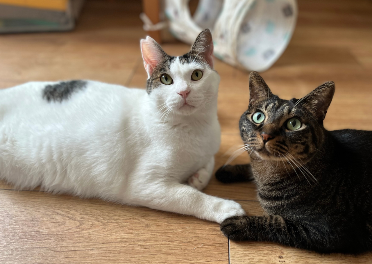 unnamed 2026 01 09T105801.546