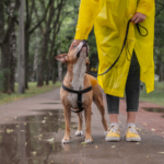 unnamed 2026 01 09T105810.163