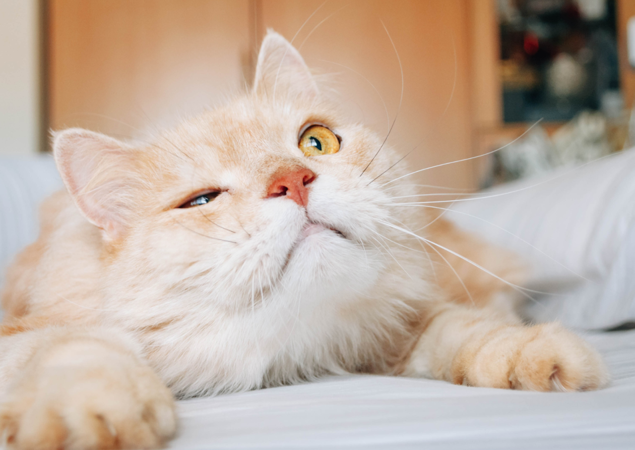 unnamed 2026 01 28T153725.002