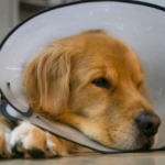 unnamed 2026 02 12T142200.072