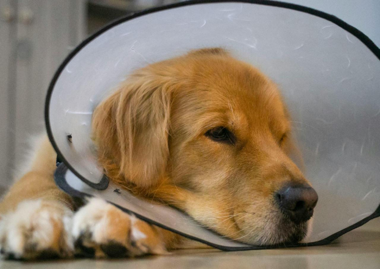 unnamed 2026 02 12T142200.072