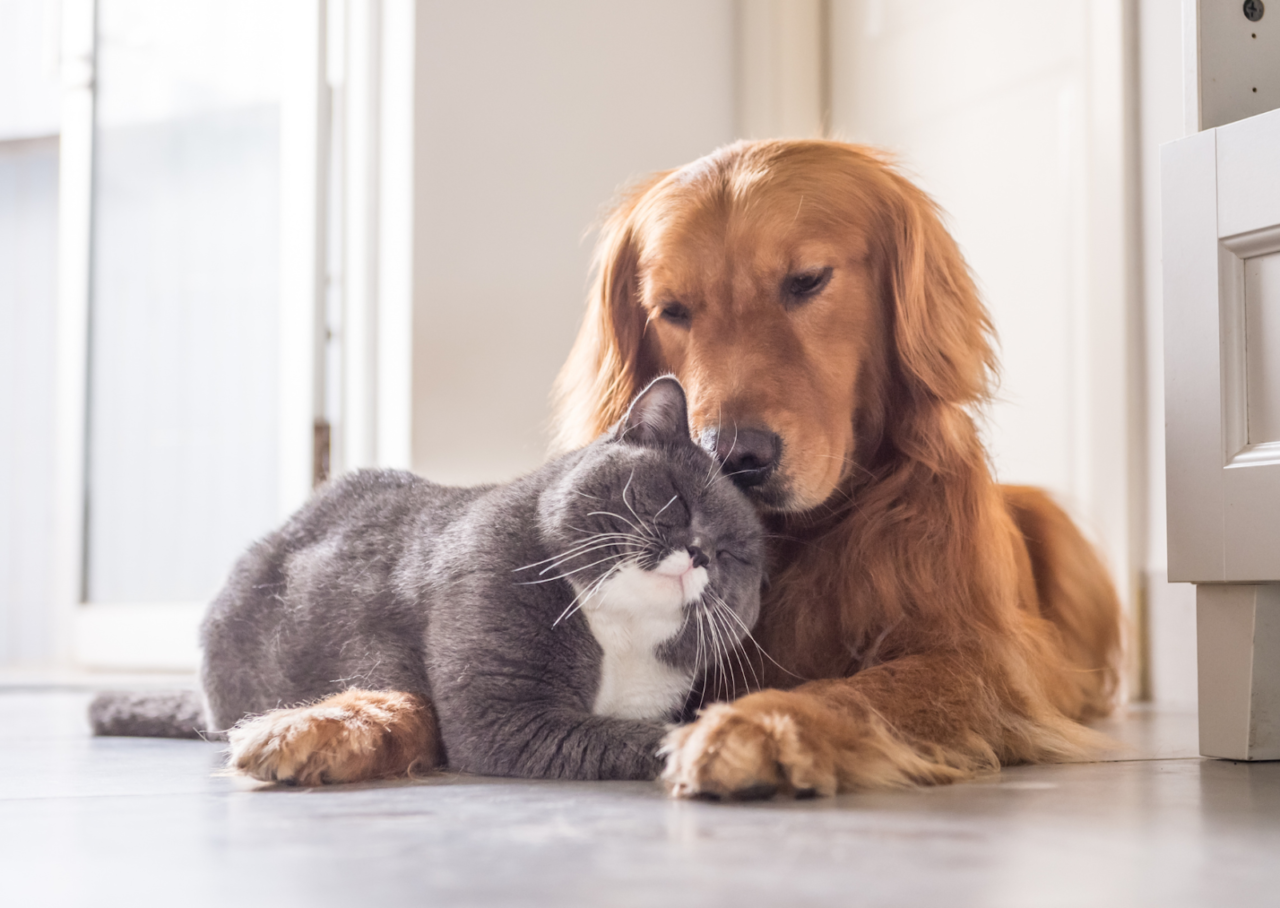 unnamed 2026 03 19T093945.430