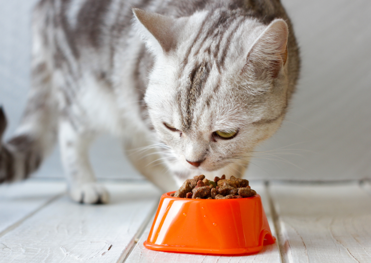 unnamed 2026 03 19T093953.377